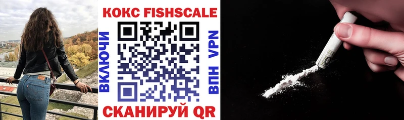 Cocaine Fish Scale  omg ссылки  Электрогорск 