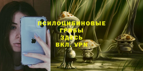 гидра Алзамай