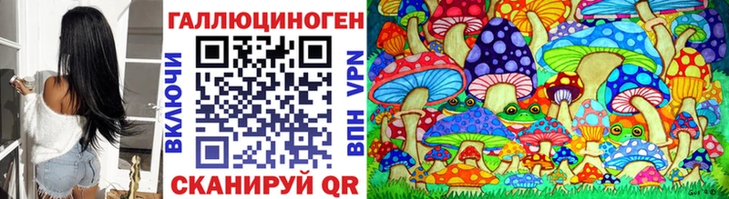 shop состав Электрогорск Псилоцибиновые грибы прущие грибы где купить